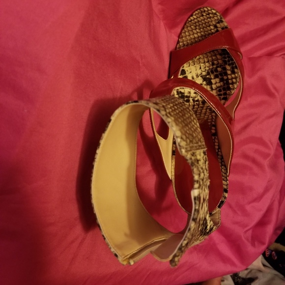 Red python - Picture 4 of 4